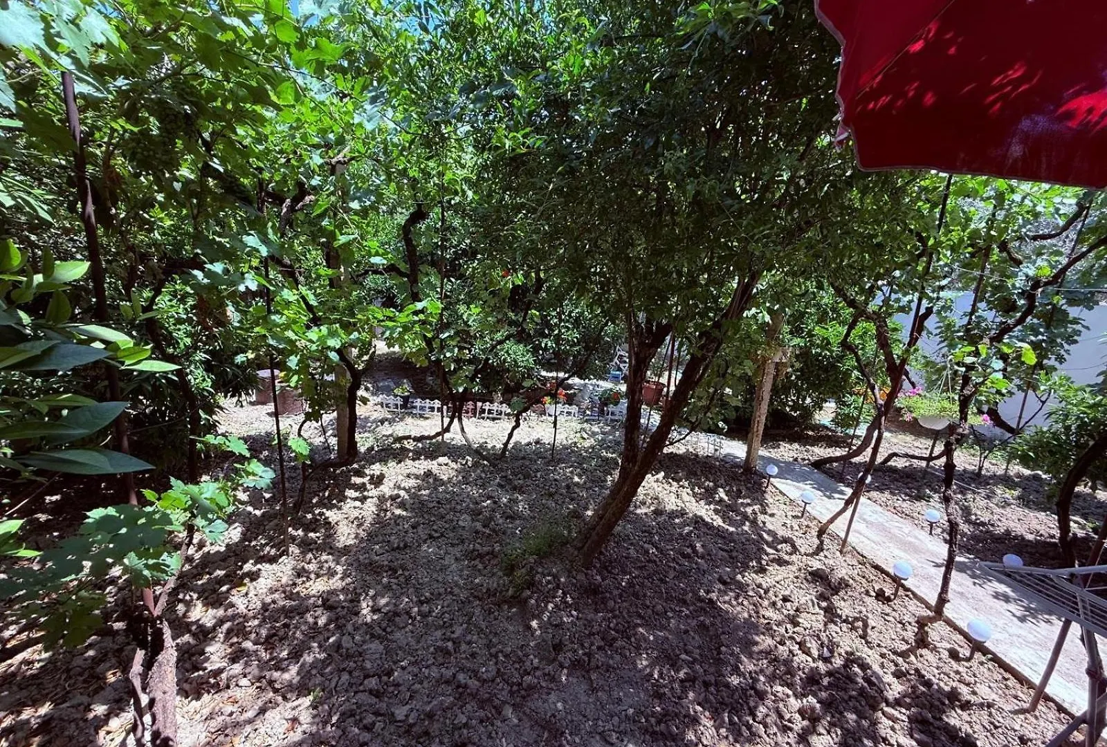 Guesthouse Albi Berat 0*,  Albania