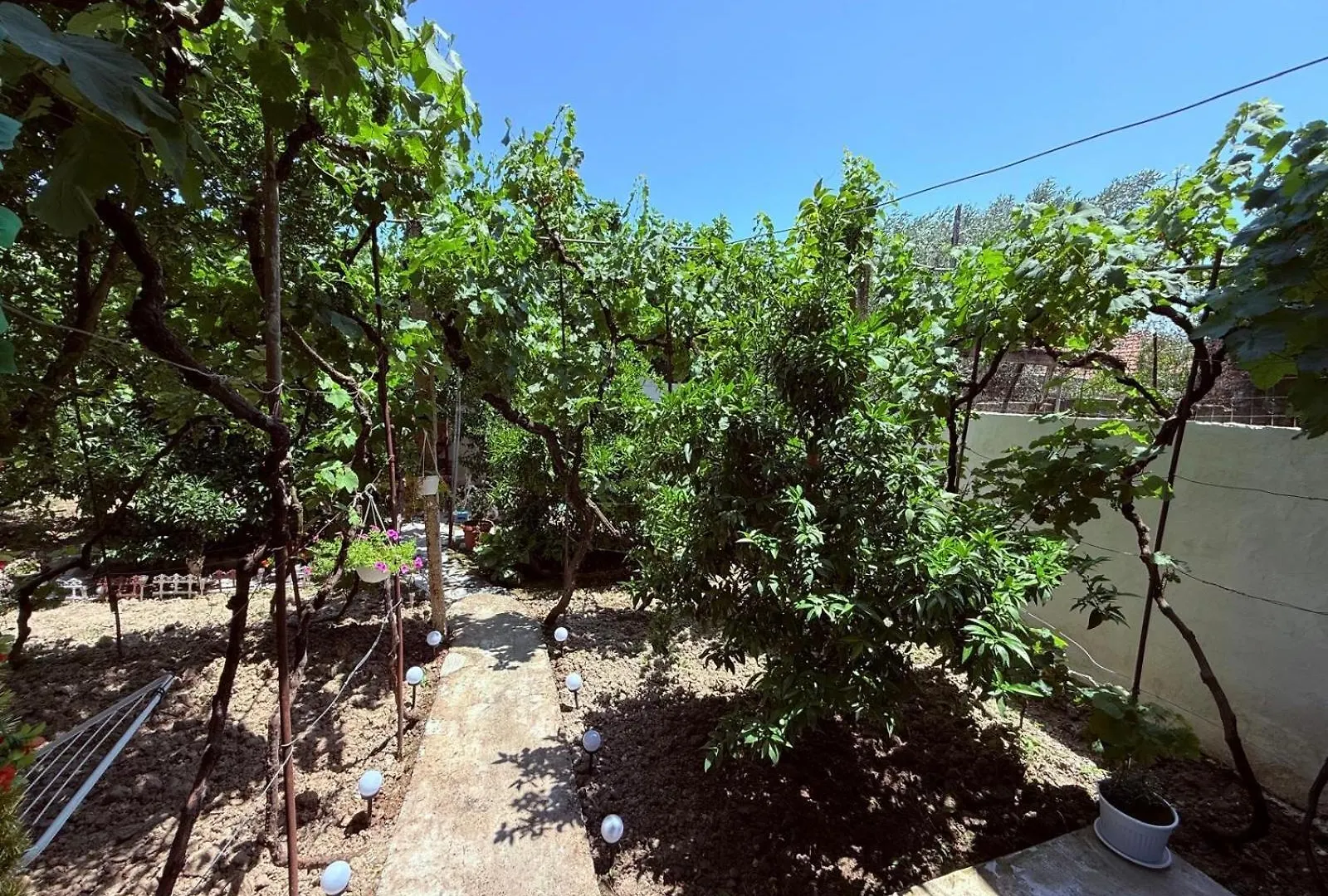 Apartamento Guesthouse Albi Berat Albania